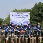 STRENGTHENING COLLABORATION FOR SUSTAINABLE SHIPPING, IPCM PLANTS MANGROVES WITH INSA