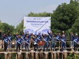 PERKUAT KOLABORASI PELAYARAN BERKELANJUTAN, IPCM TANAM MANGROVE BERSAMA INSA