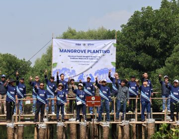 STRENGTHENING COLLABORATION FOR SUSTAINABLE SHIPPING, IPCM PLANTS MANGROVES WITH INSA