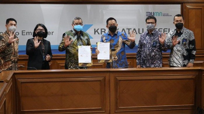 Anak Usaha BUMN Mulai Terapkan Angkutan Cargo Bulk, Apa Untungnya?
