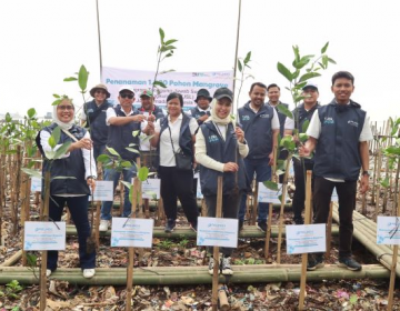 IPCM Tanam Seribu Mangrove