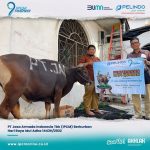 PT Jasa Armada Indonesia Tbk (IPCM) Berkurban Hari Raya Idul Adha 1443H/2022
