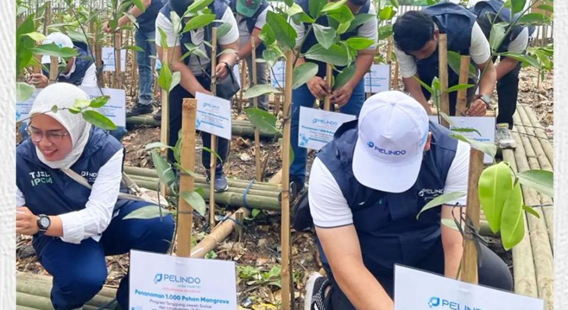 Commemorating World Mangrove Day 26 July 2023, PT Jasa Armada Indonesia Tbk (IDX:IPCM) Plants 1,000 Mangrove Trees in the Muara Angke Ecomarine Area