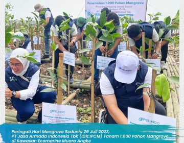 Peringati Hari Mangrove Sedunia 26 Juli 2023, PT Jasa Armada Indonesia Tbk (IDX:IPCM) Tanam 1.000 Pohon Mangrove di Kawasan Ecomarine Muara Angke ***