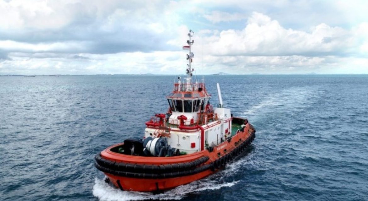 NEW YEAR’S GIFT, IPCM WILL PAY INTERIM DIVIDEND 26 JANUARY 2024